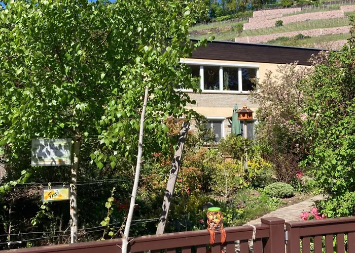 Ferienwohnung Sonja Am Weinberg